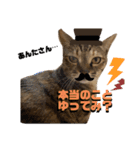 ちゃちゃ＆ちょびスタ Vol.1（個別スタンプ：4）