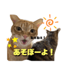 ちゃちゃ＆ちょびスタ Vol.1（個別スタンプ：9）