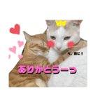 ちゃちゃ＆ちょびスタ Vol.1（個別スタンプ：14）