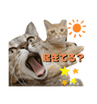 ちゃちゃ＆ちょびスタ Vol.1（個別スタンプ：16）