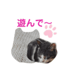 むんのお酒もある会話（個別スタンプ：6）