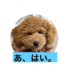 ルカちゃま（個別スタンプ：7）