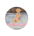 ルカちゃま（個別スタンプ：8）