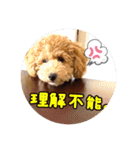 ルカちゃま（個別スタンプ：9）