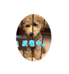 ルカちゃま（個別スタンプ：12）