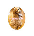 ルカちゃま（個別スタンプ：14）