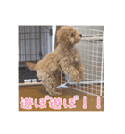 ルカちゃま（個別スタンプ：15）
