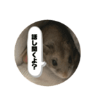うにすた-日常編1-（個別スタンプ：10）
