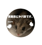 うにすた-日常編1-（個別スタンプ：12）