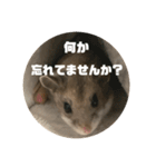 うにすた-日常編1-（個別スタンプ：19）