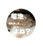 うにすた-日常編1-（個別スタンプ：20）