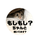 うにすた-日常編1-（個別スタンプ：21）