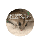 うにすた-日常編1-（個別スタンプ：22）