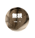 うにすた-日常編1-（個別スタンプ：23）