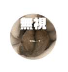うにすた-日常編1-（個別スタンプ：24）