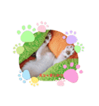 Sweets★castle（個別スタンプ：7）