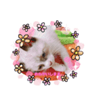 Sweets★castle（個別スタンプ：8）