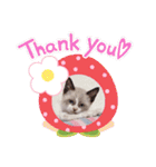 Sweets★castle（個別スタンプ：9）