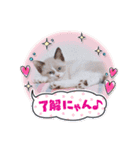 Sweets★castle（個別スタンプ：23）
