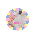 Sweets★castle（個別スタンプ：30）