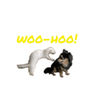 犬と猫とフェレット（個別スタンプ：18）