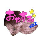 ぴぴちゃんすたんぷ withもんちゃん（個別スタンプ：1）
