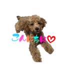 ぴぴちゃんすたんぷ withもんちゃん（個別スタンプ：9）