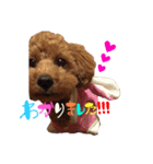ぴぴちゃんすたんぷ withもんちゃん（個別スタンプ：12）