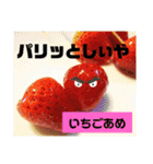料理カード（個別スタンプ：1）