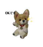 テディベアたち ②（個別スタンプ：5）