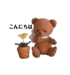 テディベアたち ②（個別スタンプ：6）