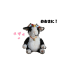 テディベアたち ②（個別スタンプ：12）