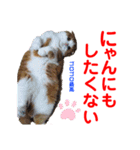 赤いりぼんの可愛い仲間達⑥（個別スタンプ：1）