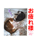 赤いりぼんの可愛い仲間達⑥（個別スタンプ：2）
