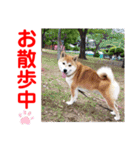赤いりぼんの可愛い仲間達⑥（個別スタンプ：5）