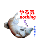 赤いりぼんの可愛い仲間達⑥（個別スタンプ：6）