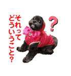 赤いりぼんの可愛い仲間達⑥（個別スタンプ：8）