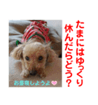 赤いりぼんの可愛い仲間達⑥（個別スタンプ：10）