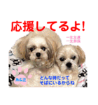 赤いりぼんの可愛い仲間達⑥（個別スタンプ：12）