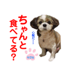 赤いりぼんの可愛い仲間達⑥（個別スタンプ：14）