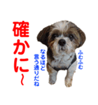 赤いりぼんの可愛い仲間達⑥（個別スタンプ：15）