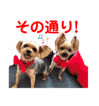 赤いりぼんの可愛い仲間達⑥（個別スタンプ：16）