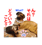 赤いりぼんの可愛い仲間達⑥（個別スタンプ：18）