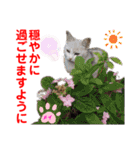赤いりぼんの可愛い仲間達⑥（個別スタンプ：19）