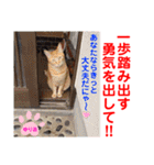 赤いりぼんの可愛い仲間達⑥（個別スタンプ：20）