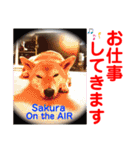 赤いりぼんの可愛い仲間達⑥（個別スタンプ：22）