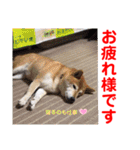 赤いりぼんの可愛い仲間達⑥（個別スタンプ：23）