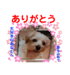 赤いりぼんの可愛い仲間達⑥（個別スタンプ：26）
