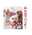 赤いりぼんの可愛い仲間達⑥（個別スタンプ：27）