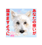 赤いりぼんの可愛い仲間達⑥（個別スタンプ：31）